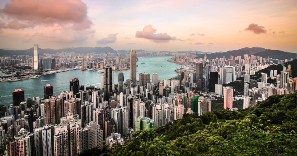 aerial photography of city, body of water, and forest